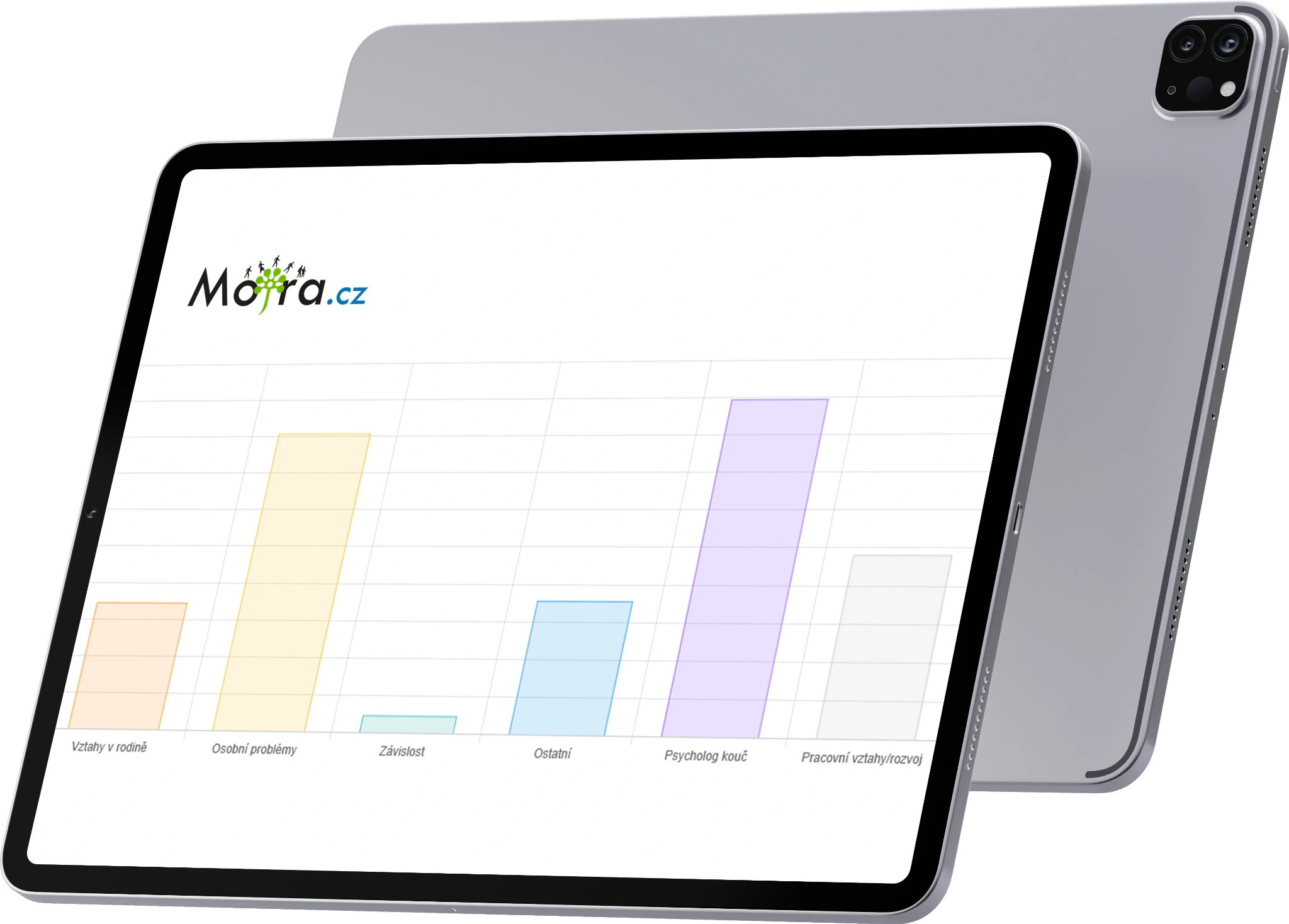 Firemní psycholog diagnostika statistiky problémů
